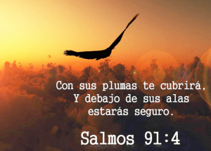 salmos 91