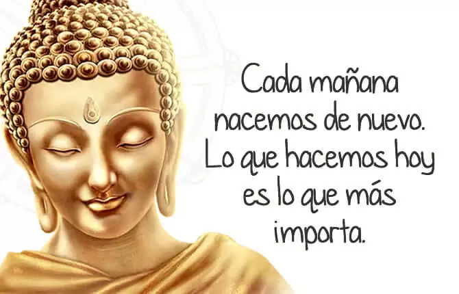 Imágenes con Frases de Buda | Encuentra tu equilibrio Zen | Sé Feliz