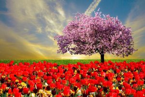 Horoskopi i dates 30 maj 2023