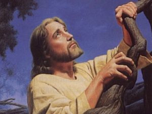imagenes de jesus orando para twitter