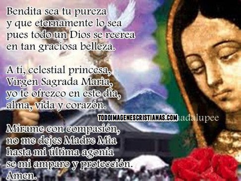 Imágenes con frases de la Virgen de Guadalupe | Muy Bonitas